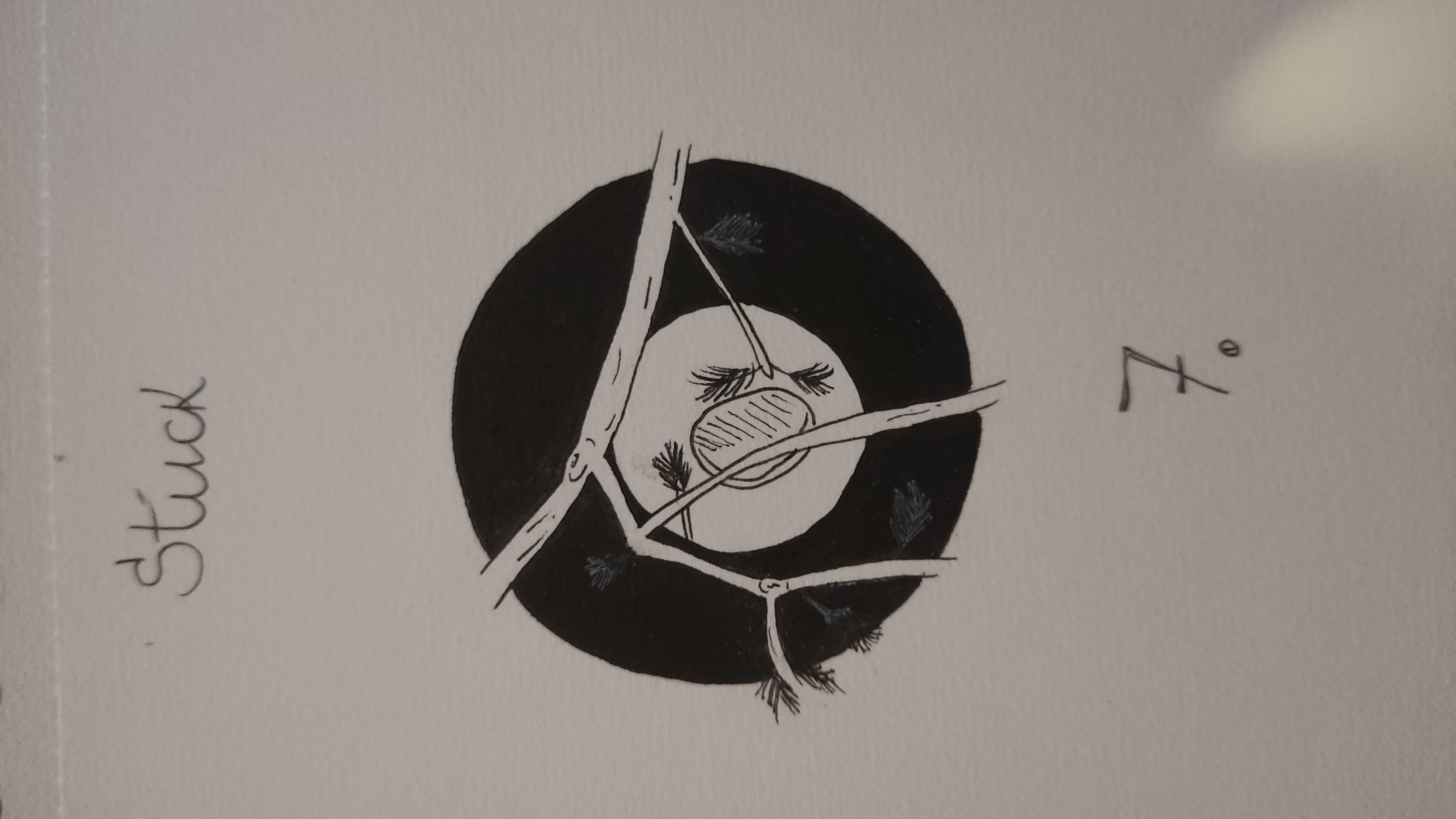 submission image