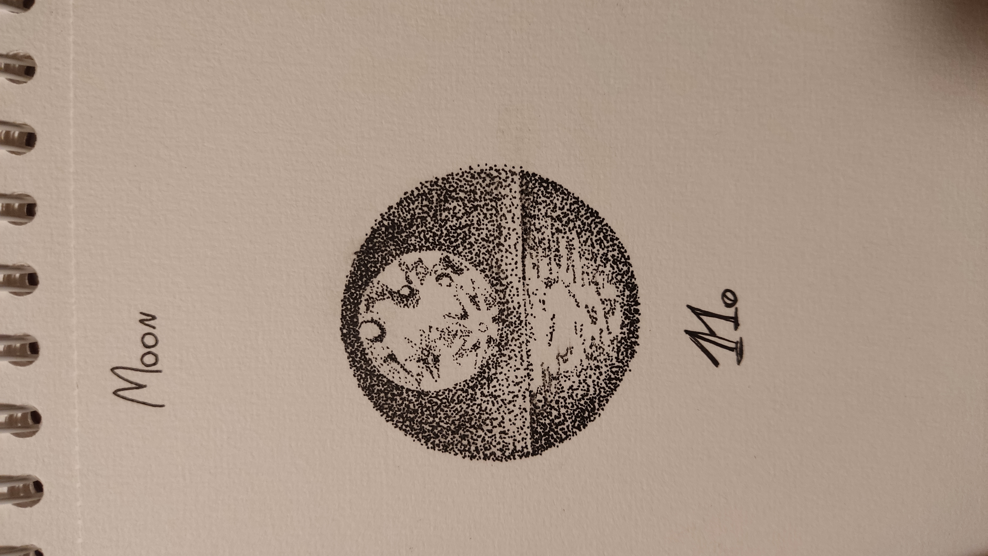 submission image